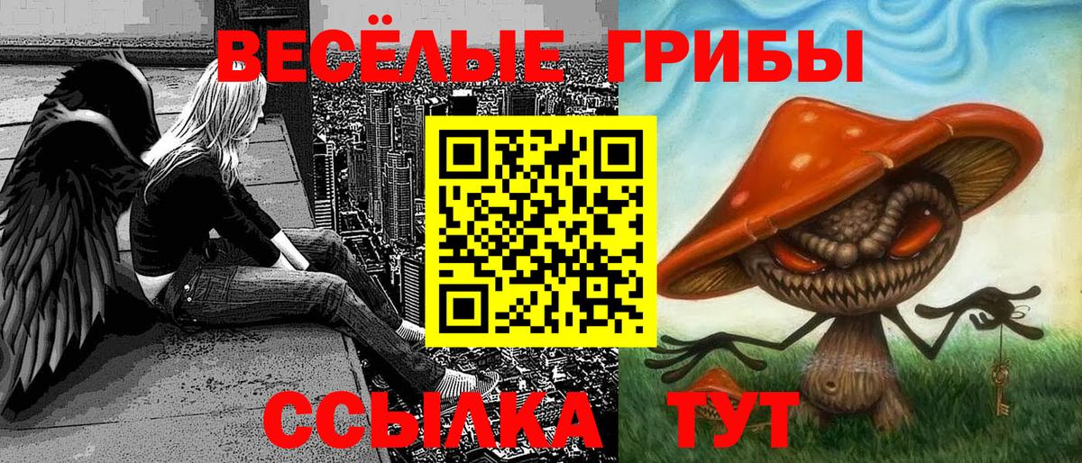 Галлюциногенные грибы Psilocybe  Псилоцибиновые грибы Psilocybe  Красноуфимск  Вход с VPN 