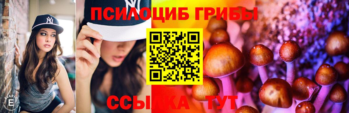 Псилоцибиновые грибы GOLDEN TEACHER Красноуфимск